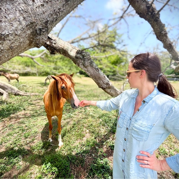 Meet your Posher, Laurie - Picture 1 of 1